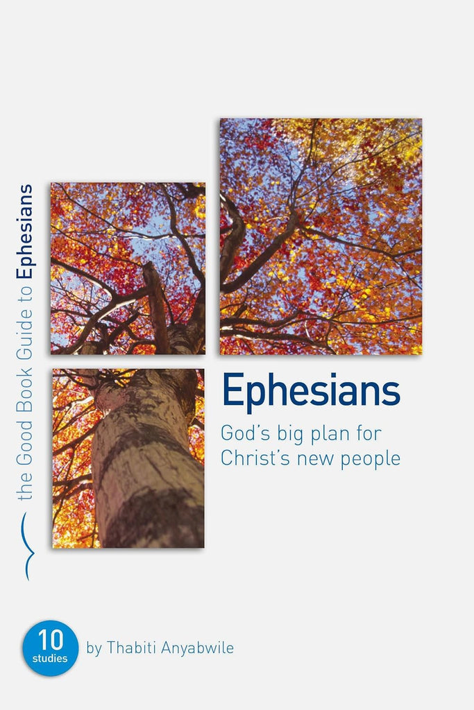 Ephesians God's big plan for Christ's new people