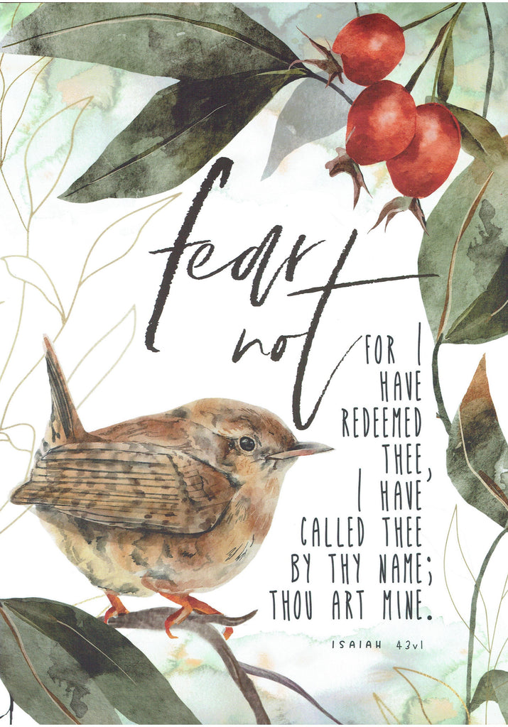 Fear not for I have redeemed thee....Wren A4 Print