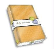 Life & Style Compact Bible - Crocodile Yellow