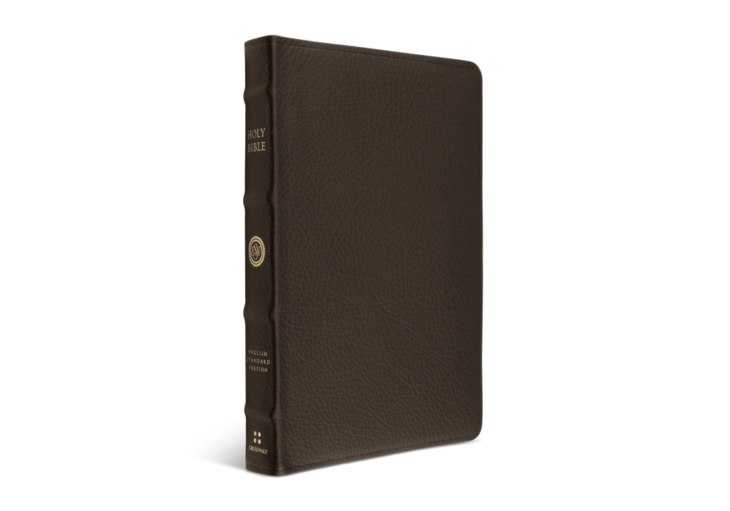 ESV Large Print Thinline Reference Bible TruTone®, Brown