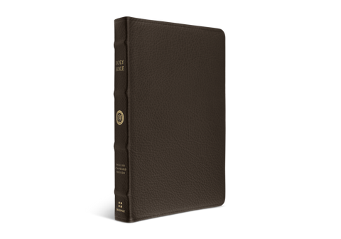 ESV Large Print Thinline Reference Bible TruTone®, Brown