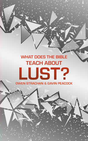 What Does the Bible Teach about Lust?: A Short Book on Desire HB