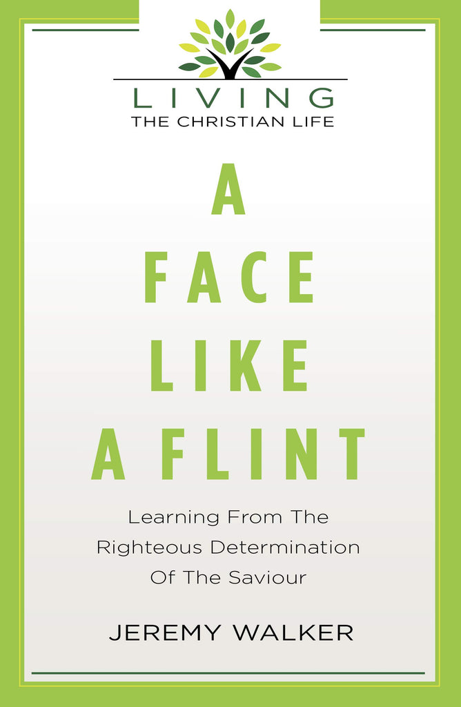 A Face Like A Flint PB