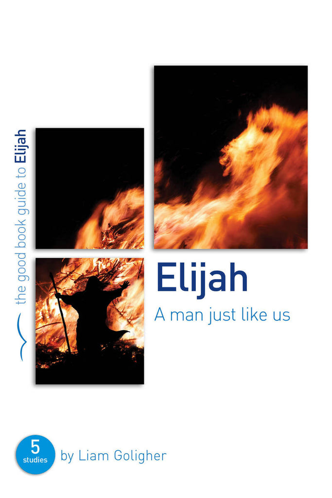 Elijah: A man just like us: 5 studies for individuals or groups PB