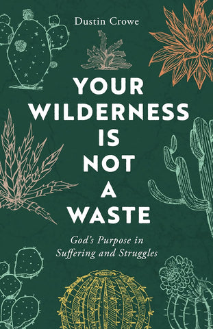 Your Wilderness Is Not a Waste: God's Purpose in Suffering and Struggles PB