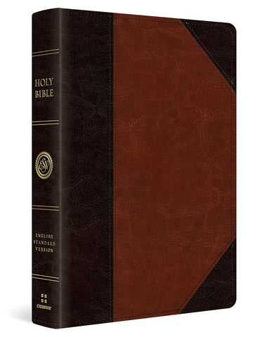 ESV Large Print Wide Margin Bible (TruTone, Brown/Cordovan, Portfolio Design): English Standard Version, Wide Margin Bible, Trutone, Brown/ Cordovan, Portfolio Design