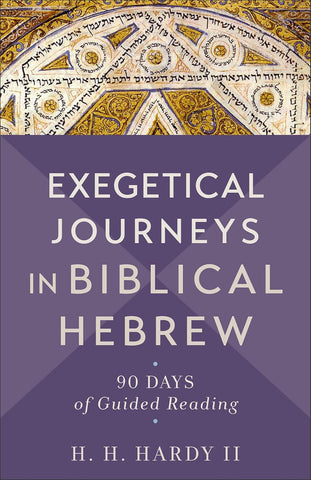 Exegetical Journeys in Biblical Hebrew 90 Days of Guided Reading PB