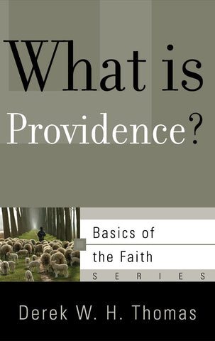 What is Providence? Basics of the Reformed Faith series PB