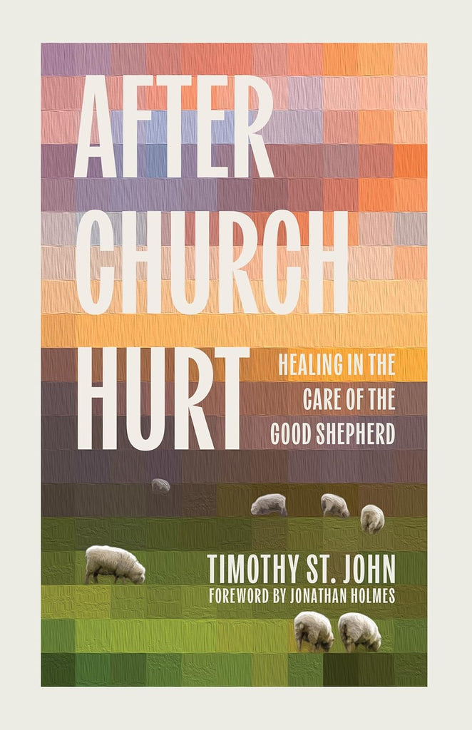After Church Hurt: Healing in the Care of the Good Shepherd PB