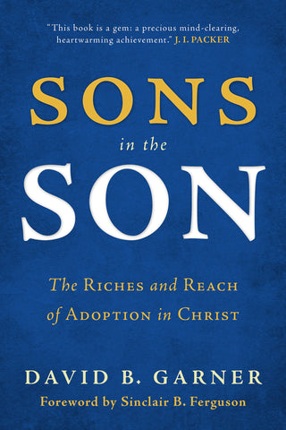 Sons in the Son:  The Riches and Reach of Adoption in Christ PB