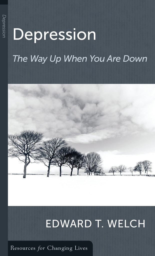 Depression the Way up the Way down: The Way Up When You Are Down PB