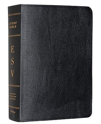 ESV Study Bible, Personal Size: English Standard Version Personal Size Genuine Leather Black