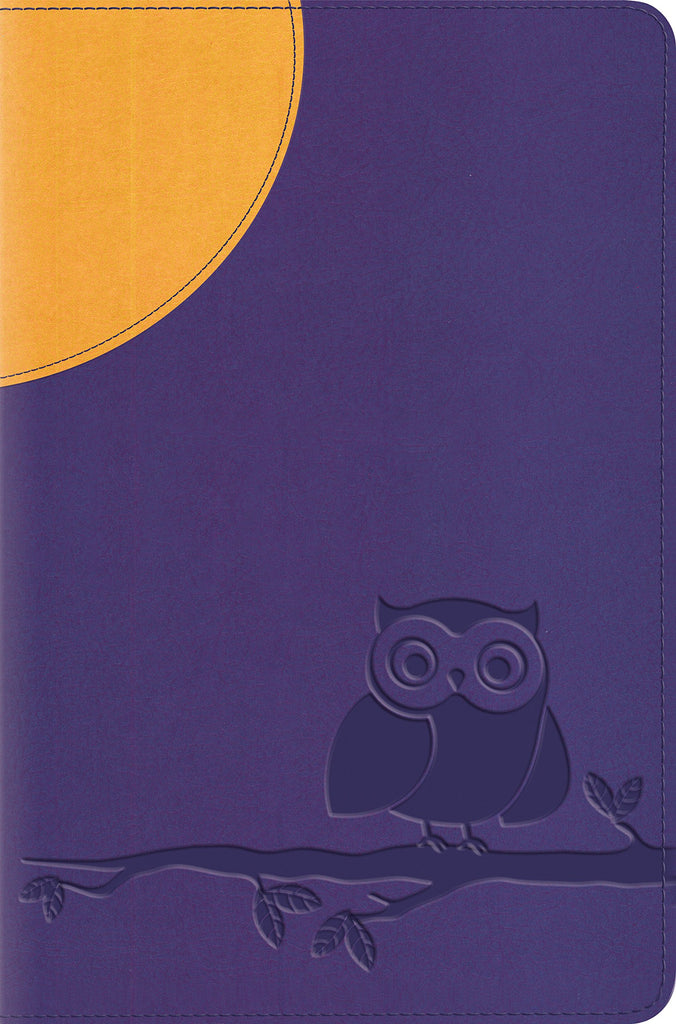 Compact Bible-ESV-Moonlight Owl (Imitation Leather)