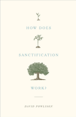 How does Sanctification Work? PB