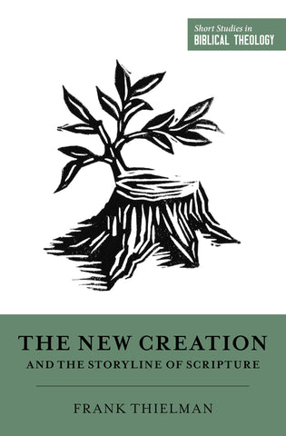 The New Creation and the Storyline of Scripture PB