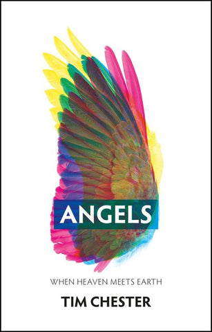 Angels ... When Heaven meets Earth