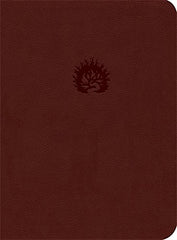 Reformation Study Bible-ESV Brick Red