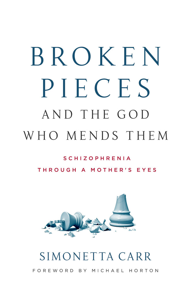 Broken Pieces and the God Who Mends Them:  Schizophrenia Through a Mother's Eyes PB