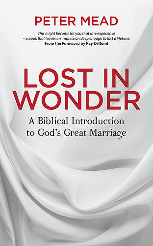 Lost in Wonder:  A Biblical Introduction to God's Great Marriage