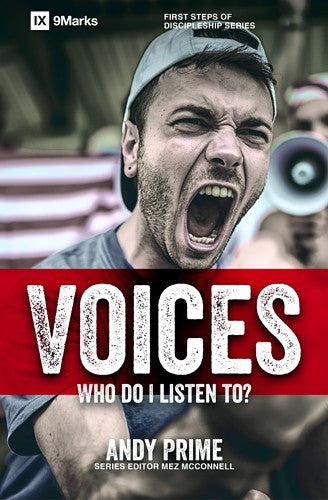 Voices:  Who Am I Listening To?