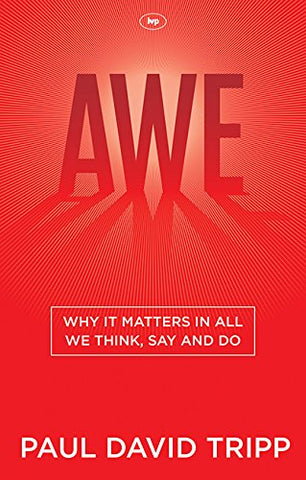 Awe:  Why it Matters in All We Think, Say and Do