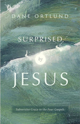 Surprised by Jesus Subversive Grace in the Four Gospels PB