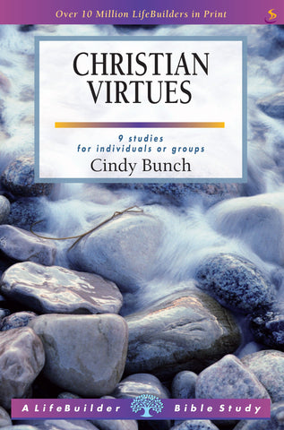 Christian Virtues: 9 studies for individuals or groups PB