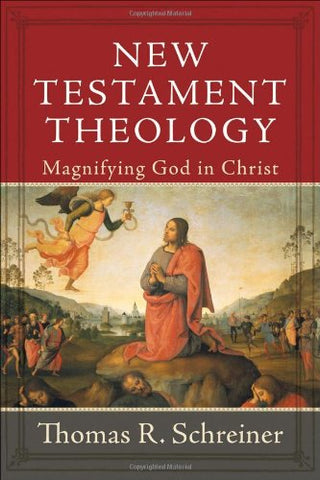 New Testament Theology magnifying God in Christ HB