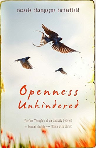 Openness Unhindered: Further Thoughts of an Unlikely Convert on Sexual Identity and Union with Christ PB