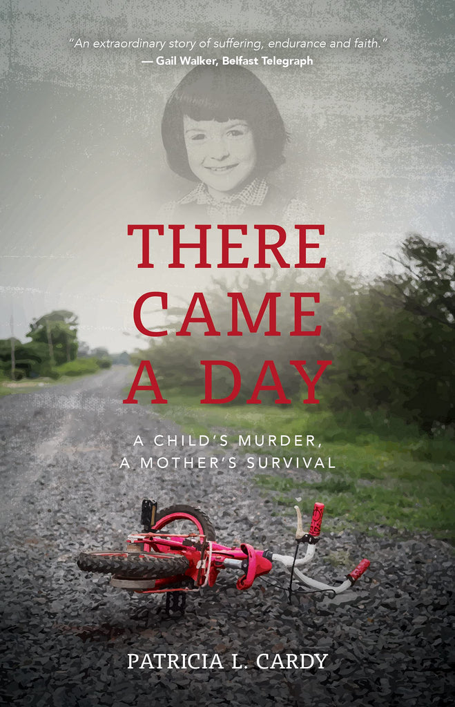 There Came A Day    A Child's Murder   A Mother's Survival HB